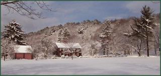 Snowy field