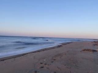 Beach Image