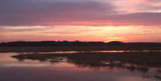 Pink Sky Sunset